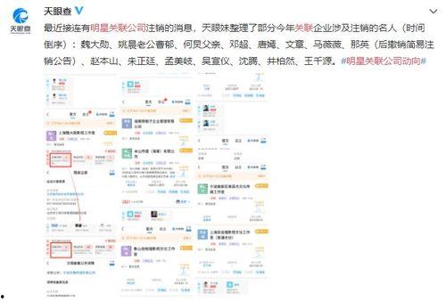 娱乐圈偷税八卦最新爆料,最新爆料揭露惊人内幕 第2张 娱乐圈偷税八卦最新爆料,最新爆料揭露惊人内幕 第2张