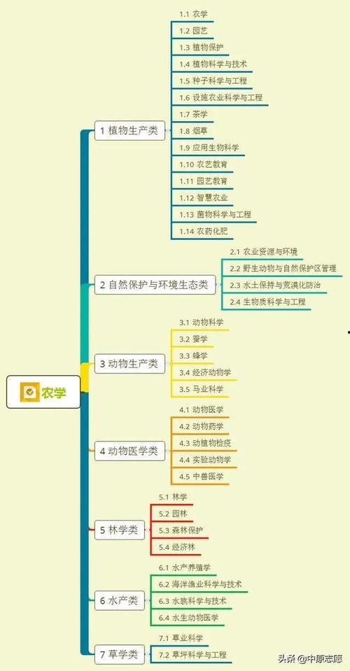 甜瓜跑步爆料视频大全集,运动风采尽收眼底